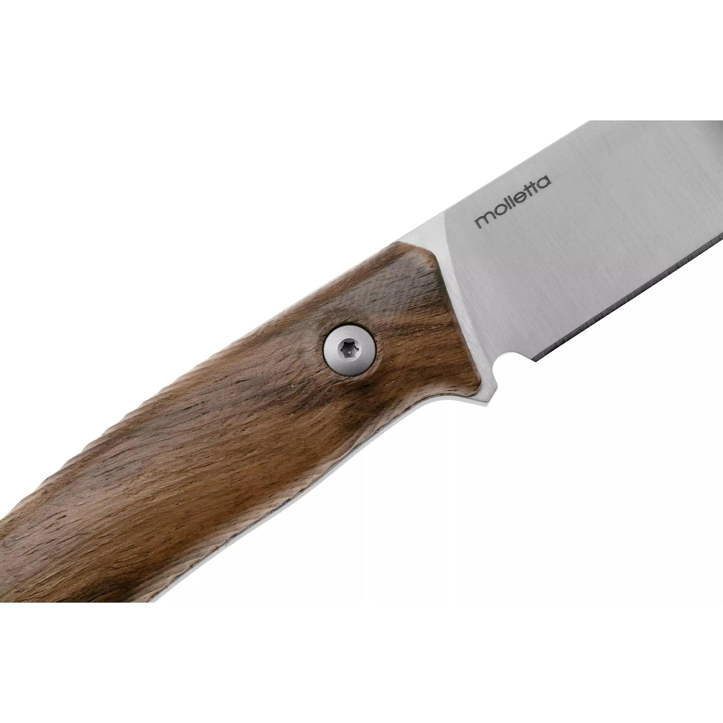 LionSteel M1 išgyvenimo peilis fiksuotais M390 plieno ašmenimis