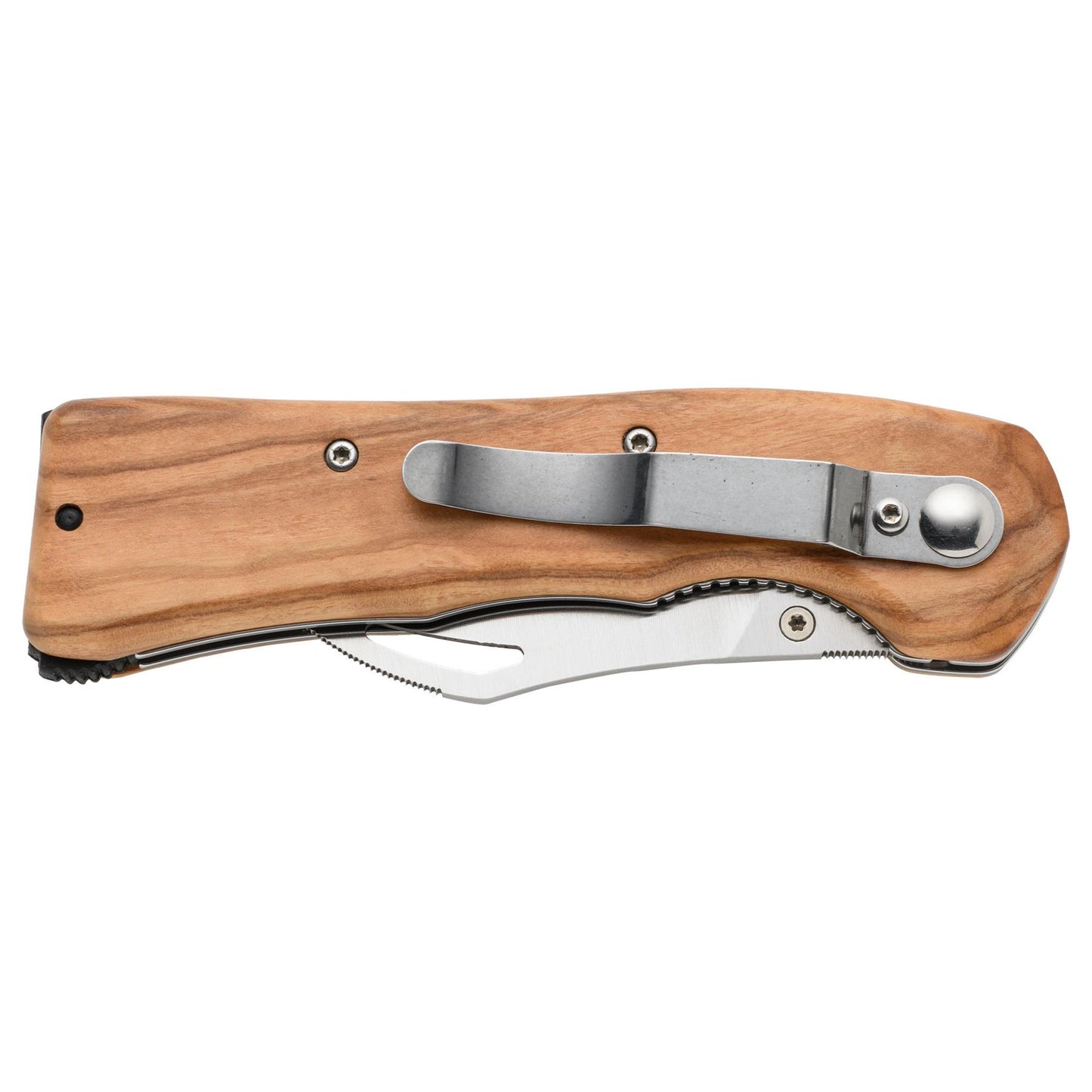 FoxKnives FOX SPORA FX-409 OL grybavimo peilis sulankstytas – kompaktiškas ir patogus nešiotis