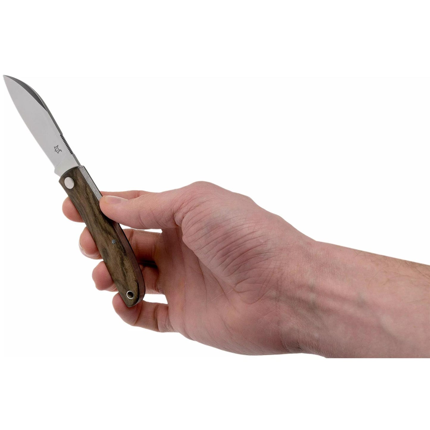 Fox Knives LIVRI sulankstomas kišeninis peilis M390 plienas ir medinė rankena laikomas rankoje.