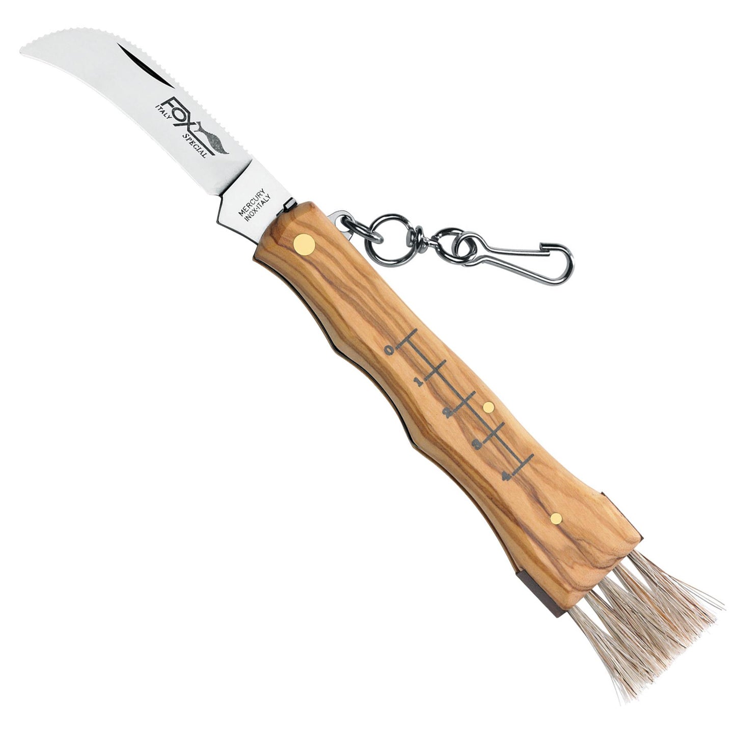 Fox Knives MUSHROOM KNIFE 405 OL grybautojo peilis su alyvmedžio rankena, lenktu AISI 420C plieno ašmeniu ir integruotu šepetėliu