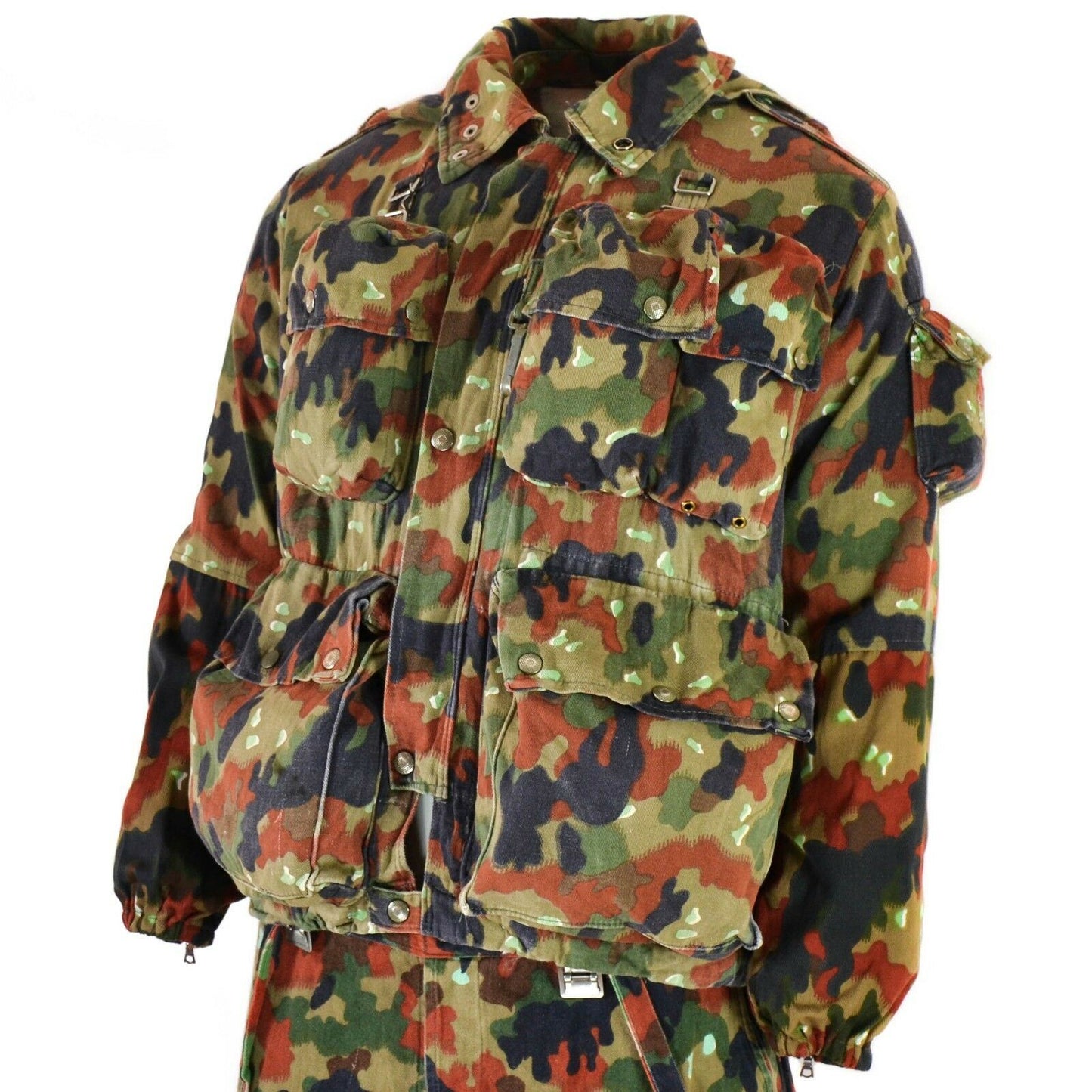 Swiss Army Hooded Jacket M70 Alpenfalge Print