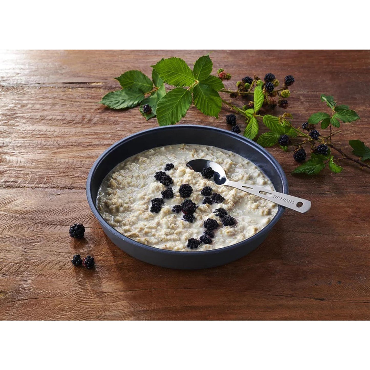 Trek'N Eat breakfast meal "Protein porridge" sublimated food