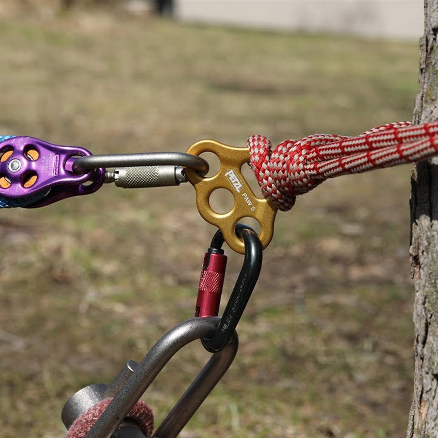 PETZL PAW S alpinizmo plokštelė su 3 tvirtinimo taškais geltonos spalvos, naudojama saugos taškų organizavimui.