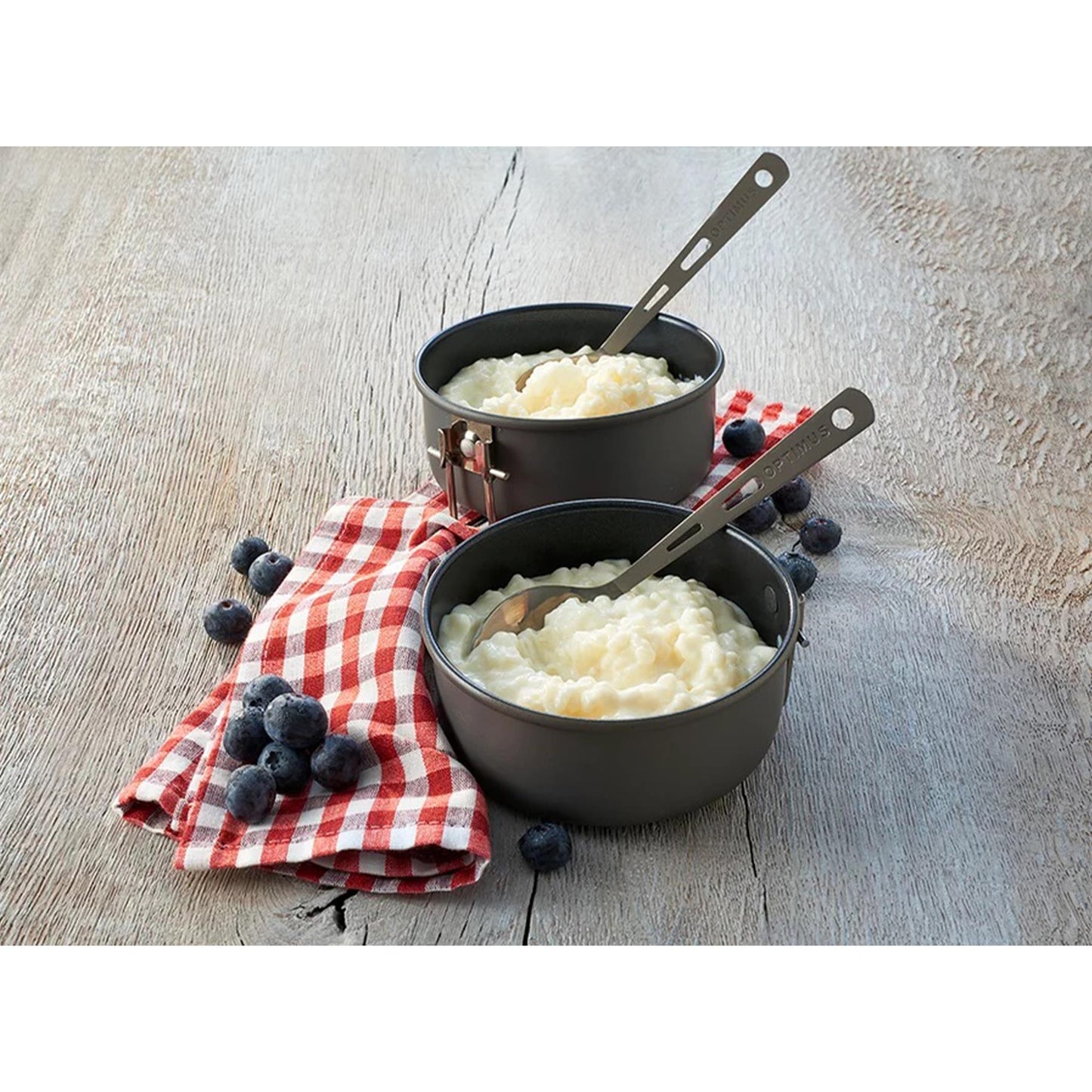 Trek'N Eat dessert "Vanilla Rice Pudding" sublimated camping food